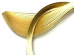 Ivory/Gold Edge 1/8"