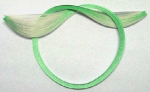 Touch of Green / LC